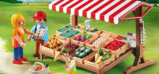 Tienda Playmobil 6121